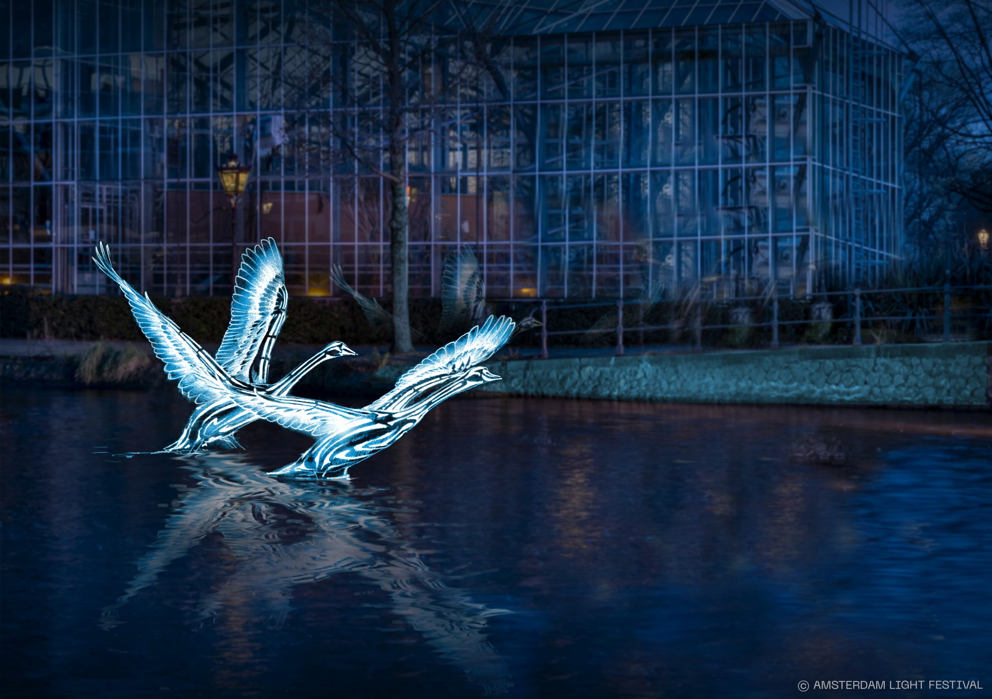 Amsterdam Light Festival Swans